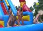 Preview: Inflatable Slide